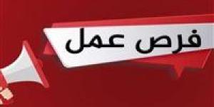 بمرتبات
      تصل
      لـ10
      آلاف
      جنيه..
      فرص
      عمل
      في
      محطات
      مترو
      الأنفاق - شبكة جدة الإخبارية