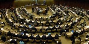 مصر السلام لحقوق الإنسان تضع إطارها التنظيمى لمتابعة انتخابات برلمان 2025 - شبكة جدة الإخبارية