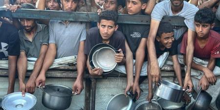 قائد القيادة المركزية الأمريكية: لا خطط لنشر قوات أمريكية فى غزة - شبكة جدة الإخبارية