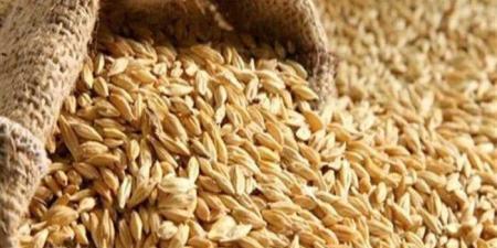 سعر
      طن
      الأرز
      الشعير
      اليوم
      الاثنين
      13
      أكتوبر
      2025 - شبكة جدة الإخبارية