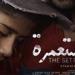 قبل
      عرضه
      في
      مهرجان
      الجونة..
      طرح
      البوستر
      الرسمي
      لـ
      فيلم
      المستعمرة - شبكة جدة الإخبارية