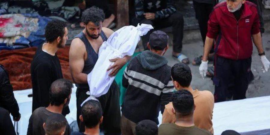 استشهاد
      13
      فلسطينيا
      في
      قصف
      إسرائيلي
      لمنتظري
      المساعدات
      بجنوب
      غزة - شبكة جدة الإخبارية