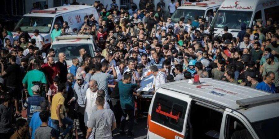 20
      شهيدا
      في
      استهداف
      الاحتلال
      "المجوعين"
      والنازحين - شبكة جدة الإخبارية