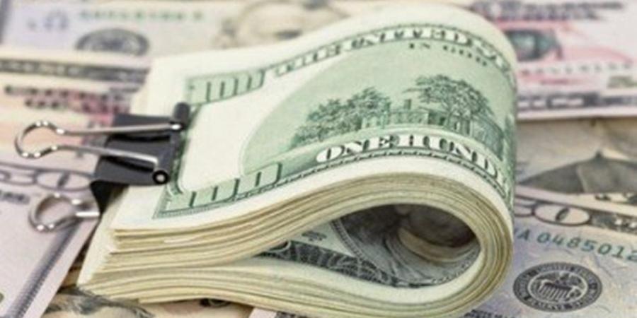 المالية: استمرار تثبيت سعر الدولار الجمركي خلال الشهر  المقبل إعرف التفاصيل - شبكة جدة الإخبارية