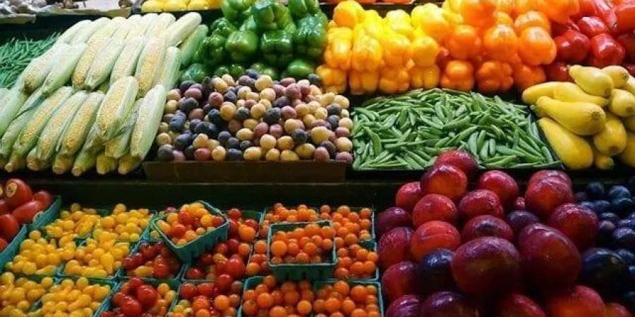 الملوخية
      بـ
      7
      جنيهات..
      أسعار
      الخضروات
      والفاكهة
      اليوم
      الاثنين
      13
      أكتوبر
      2025 - شبكة جدة الإخبارية