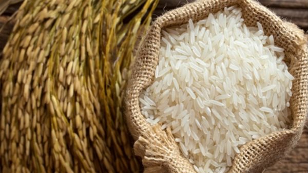 أسعار الأرز الشعير اليوم الاثنين 28 يوليو في الأسواق المحلية