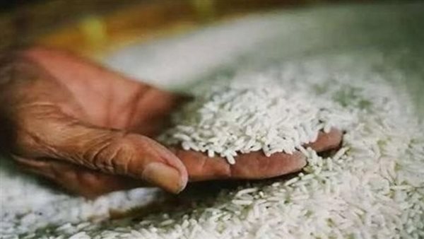 أسعار الأرز الشعير في الأسواق اليوم الأحد 13 يوليو 2025
