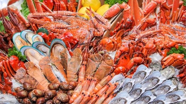 أسعار السمك اليوم الثلاثاء 8 يوليو 2025