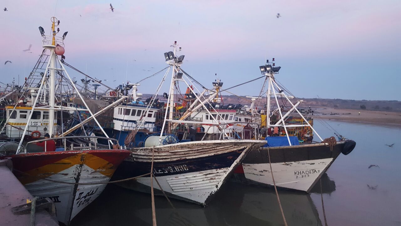 ارتفاع مفرغات الصيد بـ18% بميناء المهدية