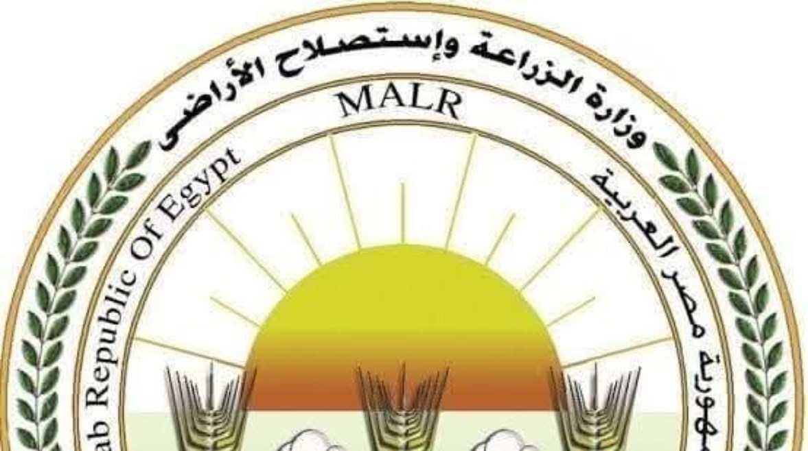 الزراعة: إنتاج أكثر من 2574 طن مسحوق مخلفات حيوانية خلال يونيو