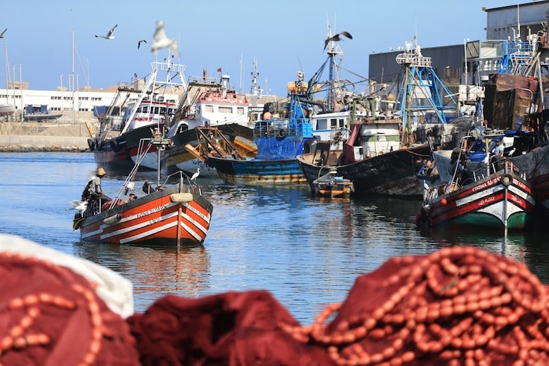 انخفاض مفرغات الصيد بميناء الناظور بـ9%