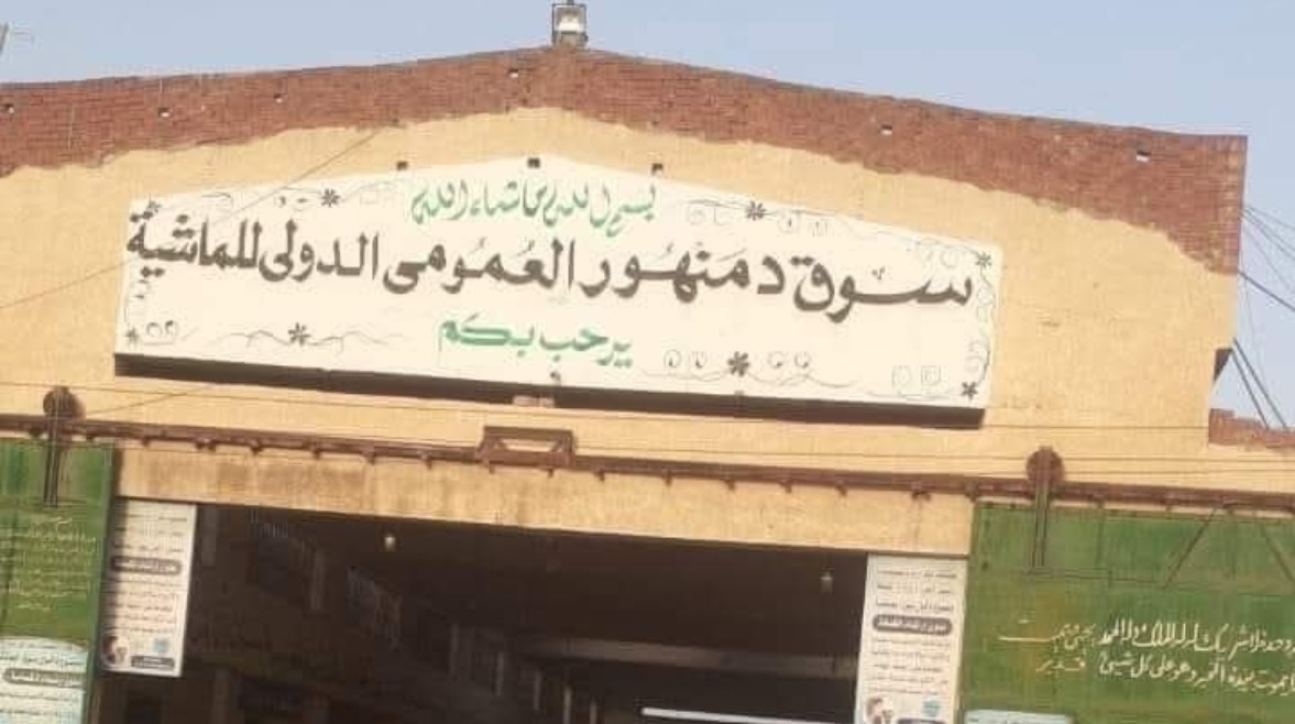 تزوير في أوراق رسمية.. سقوط مستأجر سوق الماشية بدمنهور
