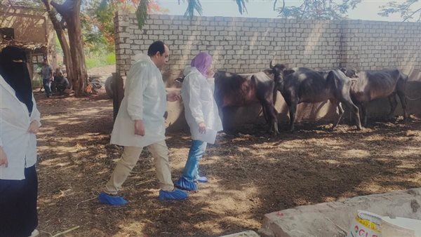 جهود وزارة الزراعة بشأن تنفيذ برامج التقصي الوبائي للأمراض الحيوانية والداجنة خلال يونيو
