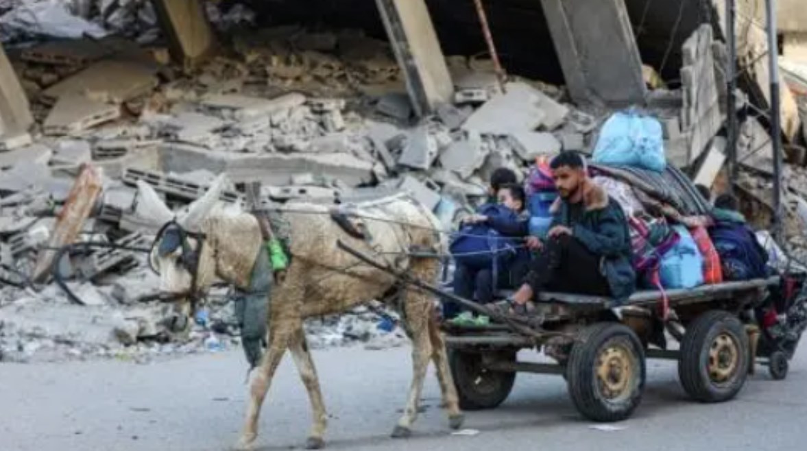 حتى الحمير سرقوها.. إسرائيل تنهب وسيلة النقل الأخيرة في غزة