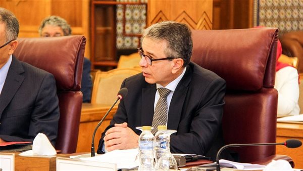 رئيس الجمارك: نتطلع إلى استراتيجية عربية مشتركة للتعاون  الجمركى وتعزيز التكامل الاقتصادي