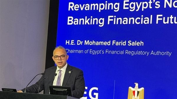 رئيس الرقابة المالية: لا جذب للاستثمار الأجنبي دون كسب ثقة المستثمر المحلي أولاً