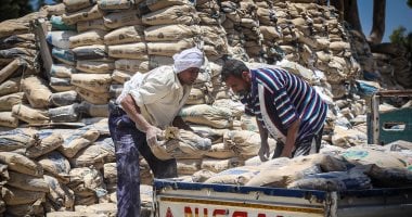 سعر الأسمنت اليوم السبت 12- 7-2025.. بكم سعر الطن؟