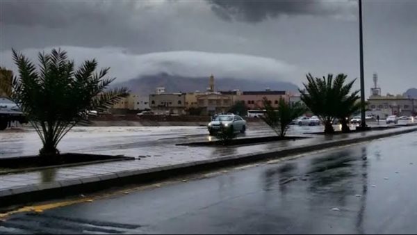 عاجل.. حالة الطقس اليوم.. ارتفاع شديد في درجات الحرارة وتحذيرات من الشبورة والأمطار