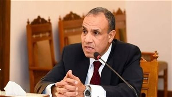 وزير الخارجية: اهتمام أفريقي بالقضية الفلسطينية وجولة لـ5 دول بالقارة قريبًا